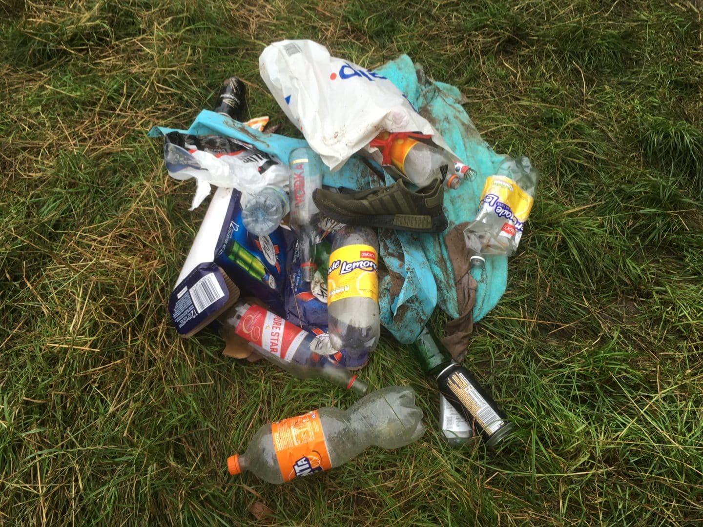 litter found in field