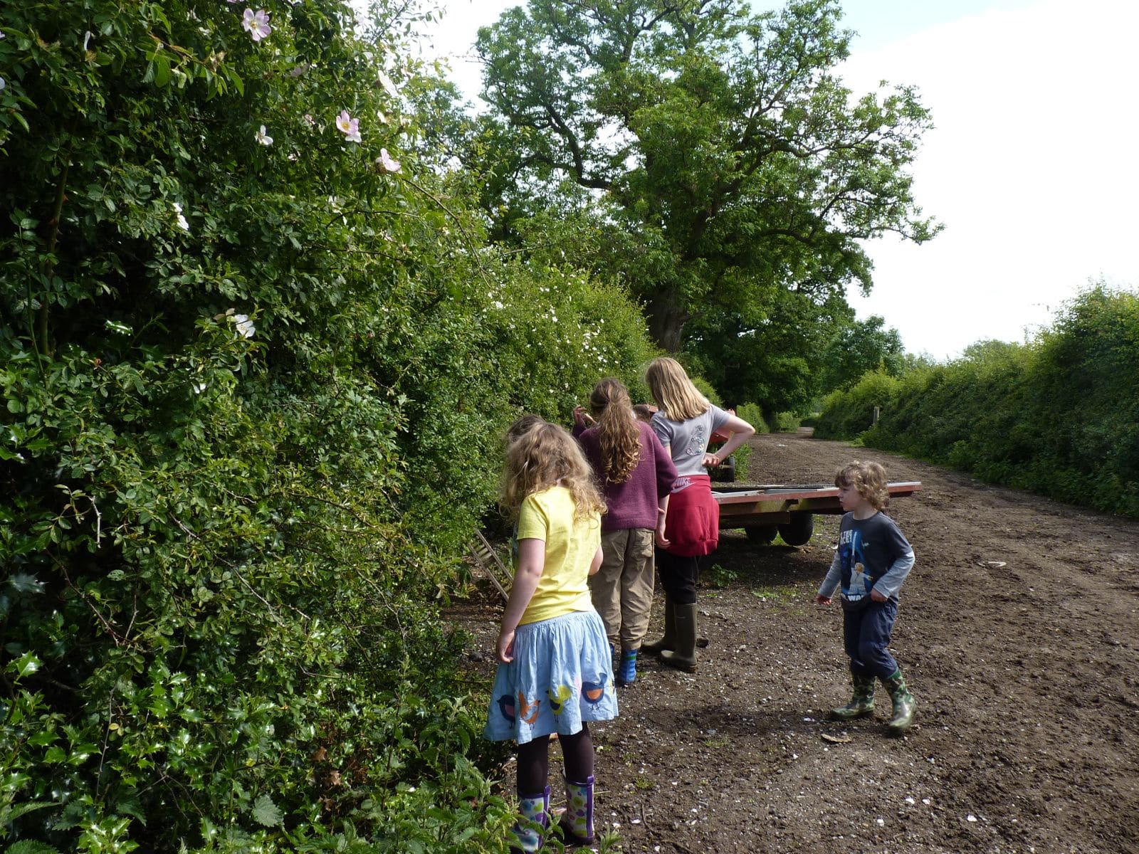 Counting hedgerow species on a CPRE farm walk