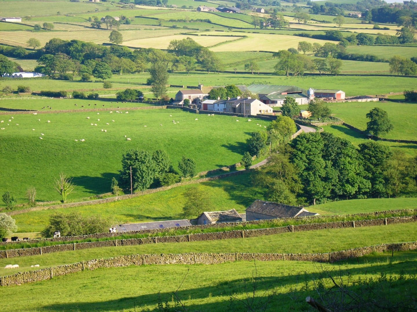 Quernmore landscape