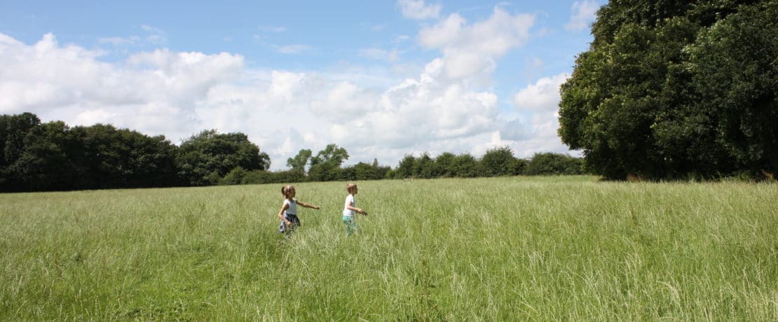 Children enjoying the open fields in Hulton Park