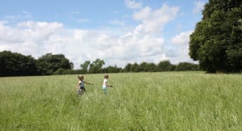 Children enjoying the open fields in Hulton Park