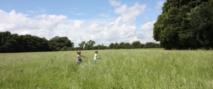 Children enjoying the open fields in Hulton Park