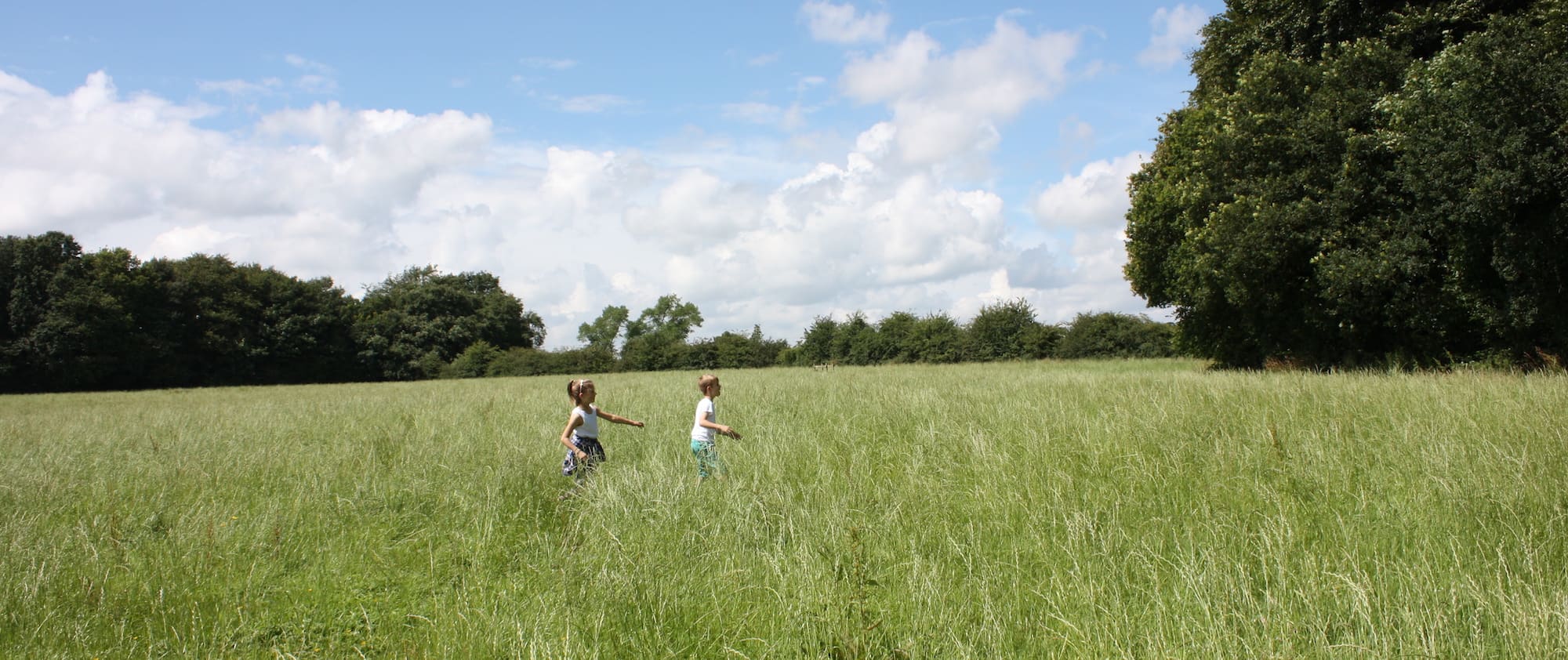 Children enjoying the open fields in Hulton Park