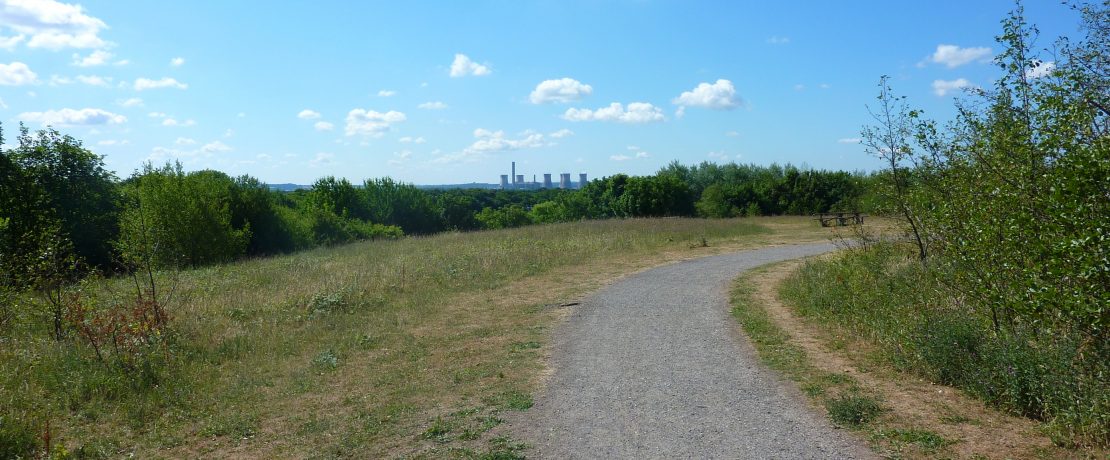 Path in Clock Face Colliery Country Park