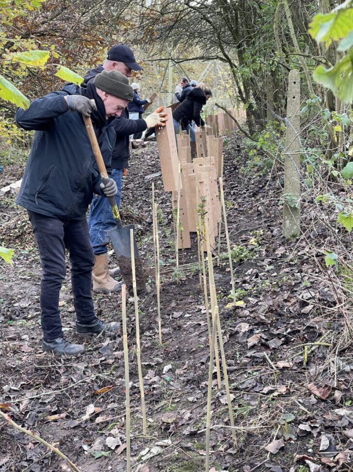 Volunteers plant hedges at Countess of Chester country park