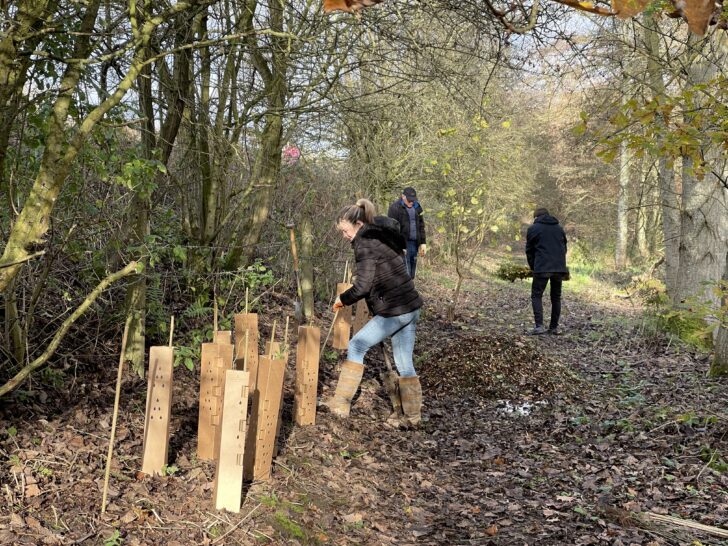 hedgerow volunteers