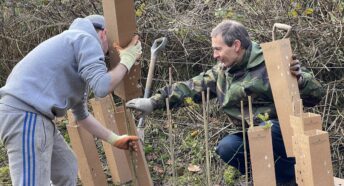 Volunteers plant hedges at Countess of Chester country park