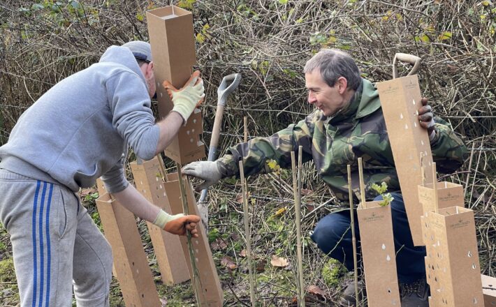 Volunteers plant hedges at Countess of Chester country park