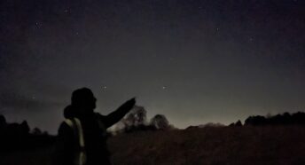 Person in field pointing to stars