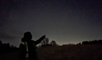Person in field pointing to stars