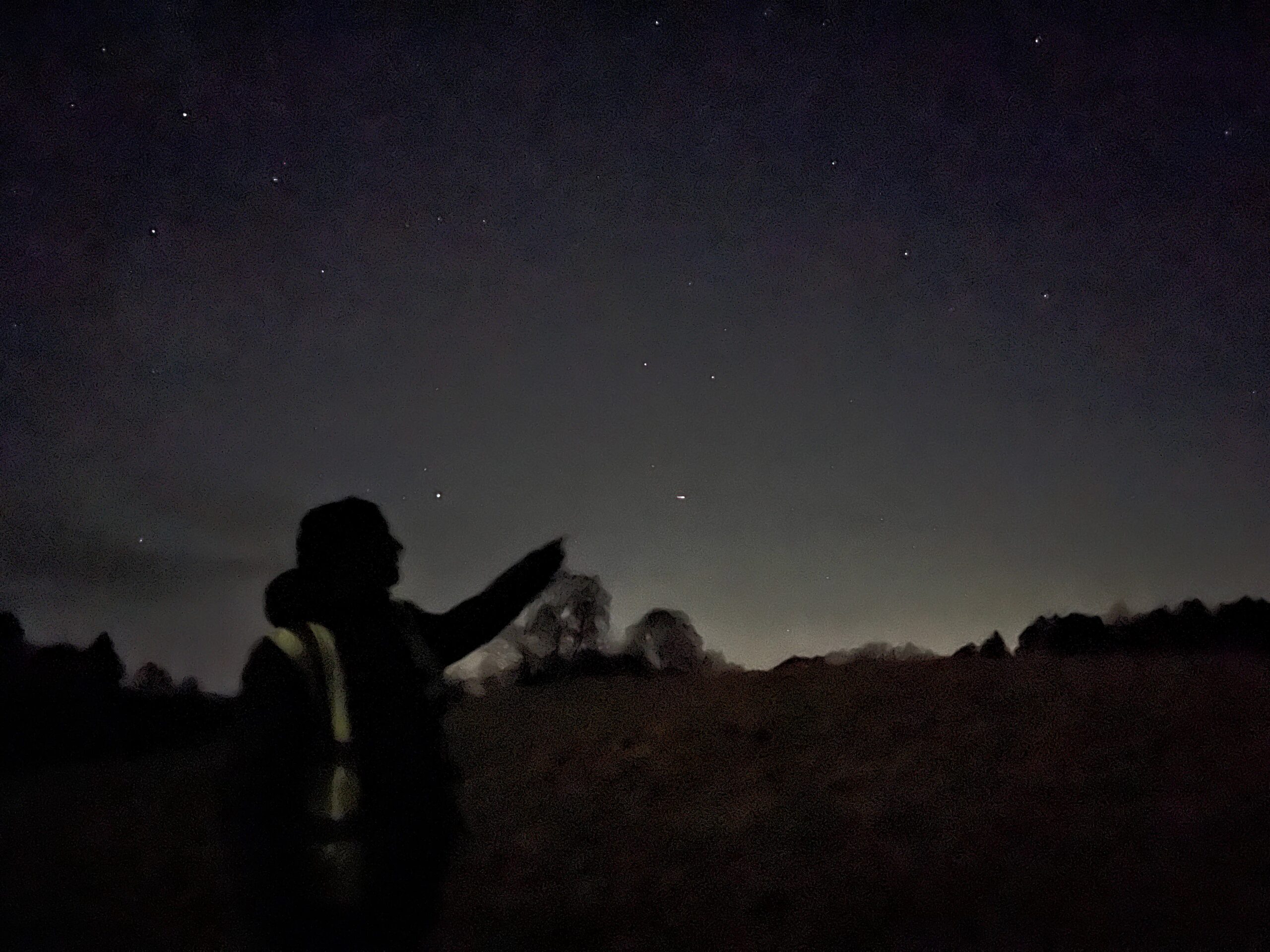 Person in field pointing to stars
